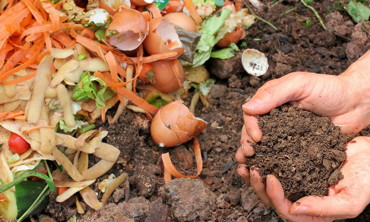 How to Compost Your Kitchen Scraps